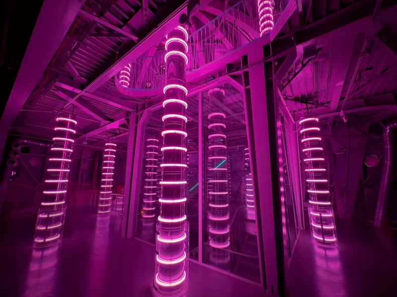 A corridor of cylindrical columns wrapped in glowing magenta light tubes